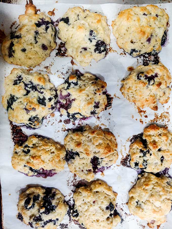 Baked blueberry muffin tops