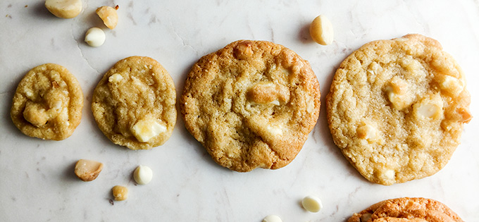 Different size white chocolate macadamia nut cookies