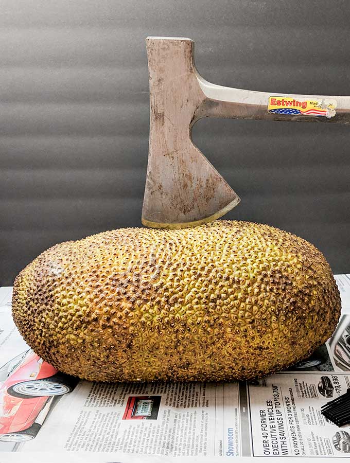 what is a jackfruit