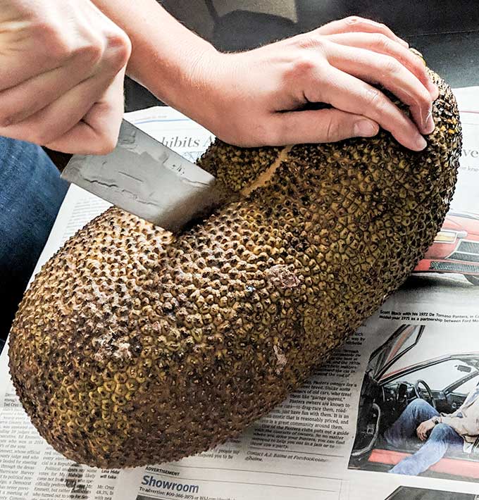 cutting jackfruit in half with oiled knife