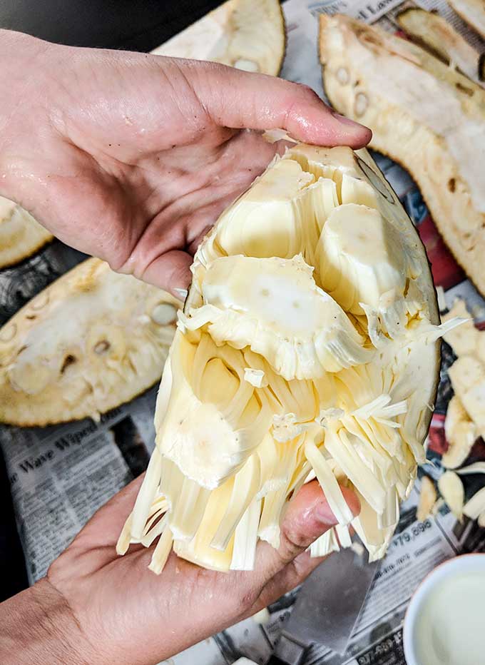pushing jackfruit slices inside out 