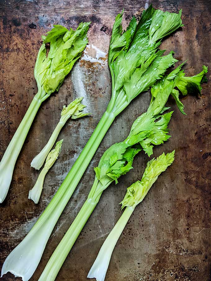 celery with leaves for blue cheese stuffed celery appetizer