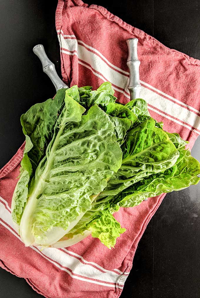 Romaine lettuce for chicken Cobb salad recipe