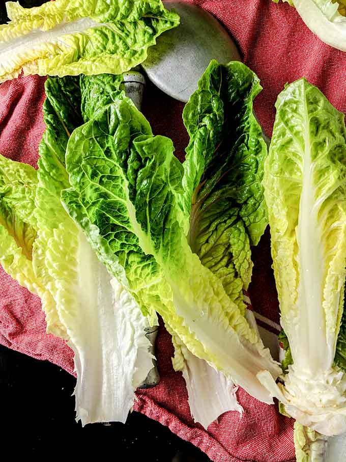 washed lettuce leaves for Caesar salad
