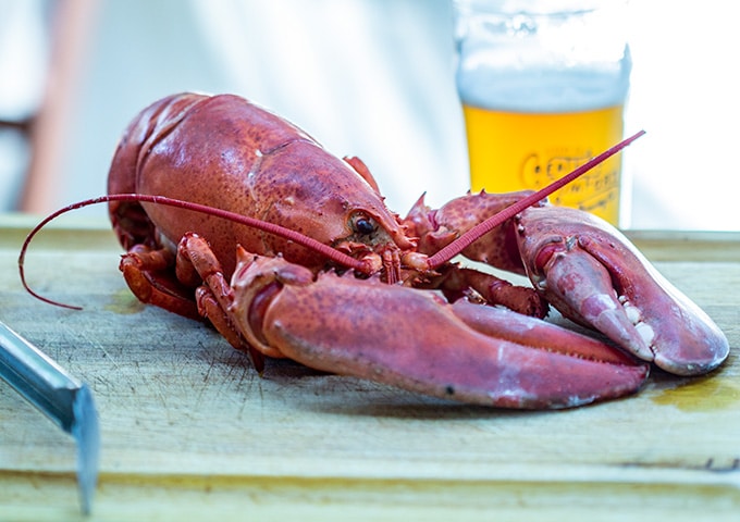 cooked lobster meat for new england lobster roll recipe