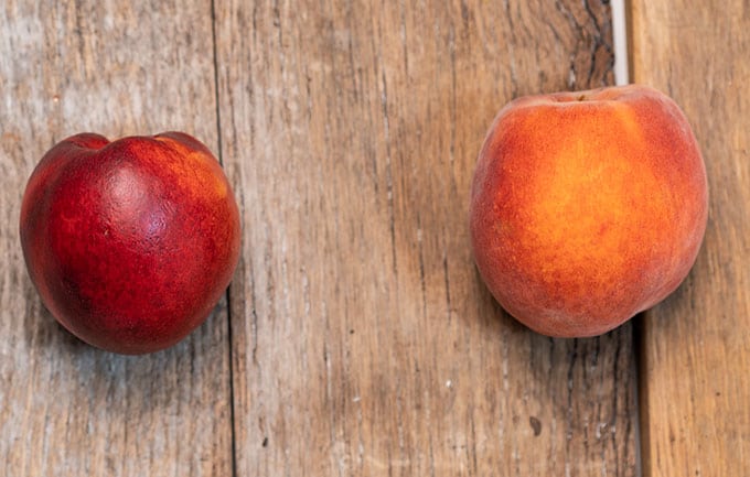 nectarine and peach