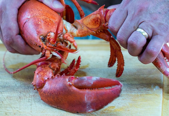 How to boil lobster